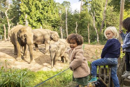 Dierenpark Amersfoort